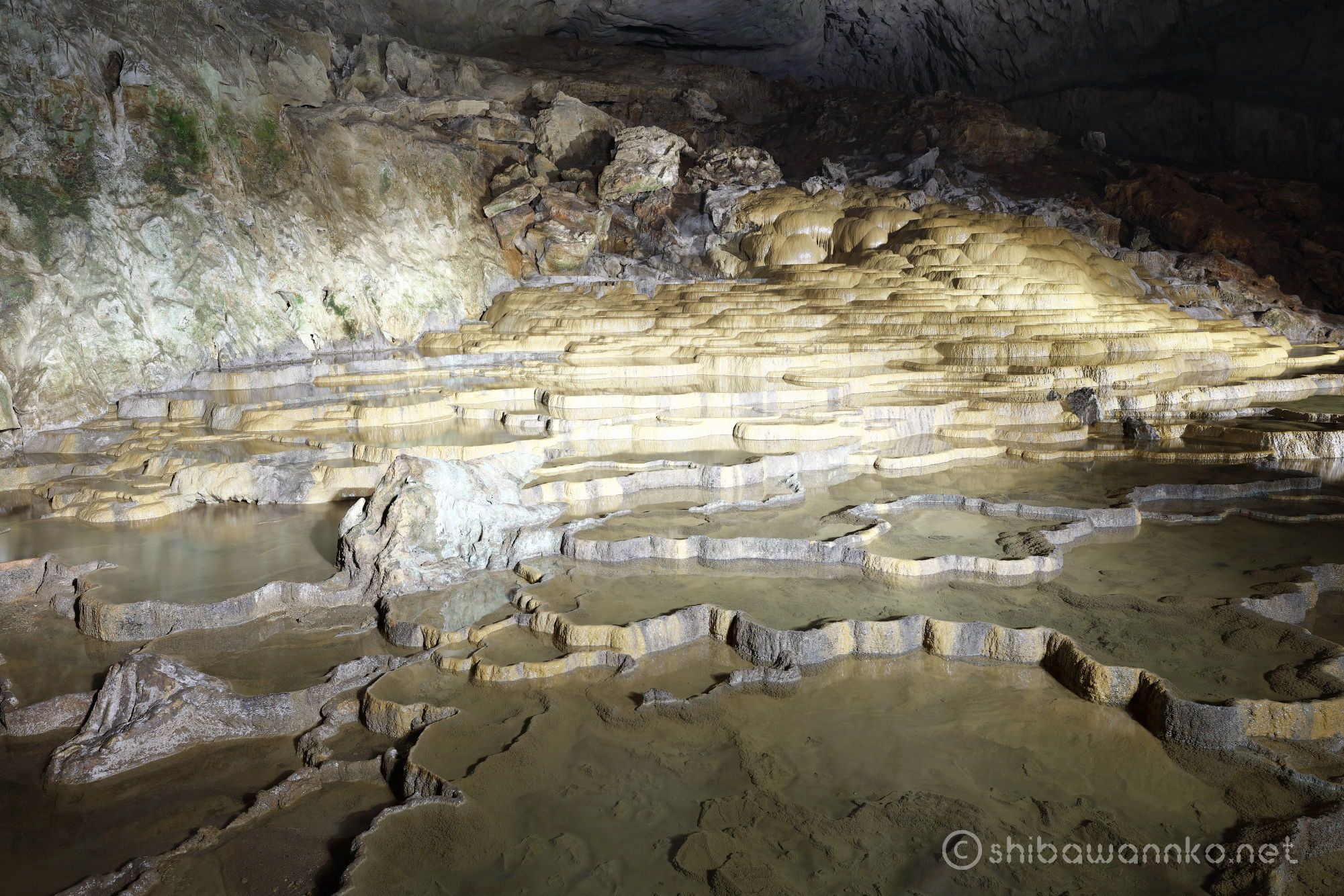 秋吉台 秋吉洞 日本最大級の鍾乳洞ライトアップ 百枚皿 洞内富士 黄金柱は圧巻 Shibawannkoの撮影山行