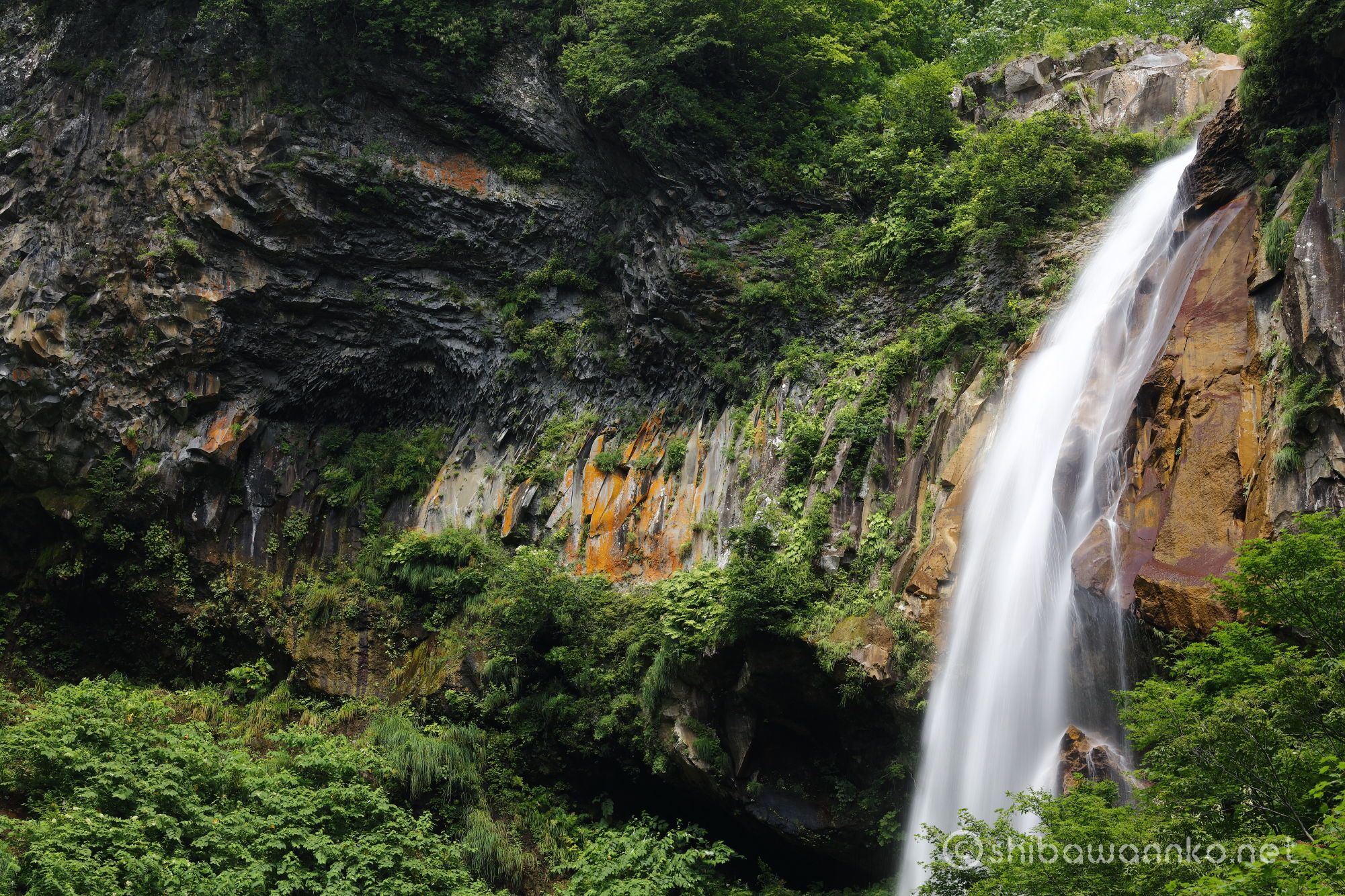 〔100名瀑〕妙高山_惣滝 ～落差80mの大瀑布！露天風呂を巡り滝壺へ～