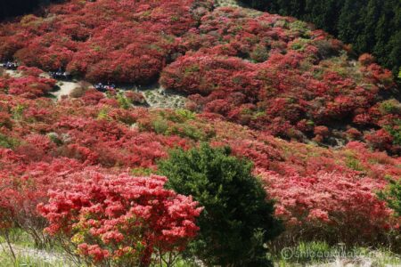 EOS5DsR+EF24-70mmF2.8LⅡUSM 70mm f16 1/15sec ISO100 PLフィルター