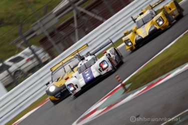 【BRエンジニアリングBR1 ギブソン】コーナー手前では、フルサイズだと600mmでも厳しい(→トリミング)。