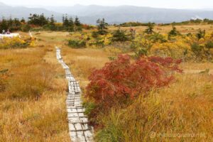 EOS5DsR+EF24-70mmF2.8LⅡUSM 53mm f16 1/8sec ISO100 PLフィルター