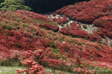 EOS5DsR+EF24-70mmF2.8LⅡUSM 59mm f11 1/30sec ISO100 PLフィルター