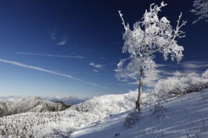 EOS5DsR+EF16-35mmF4L IS USM 30mm f11 1/100sec ISO100 PLフィルター