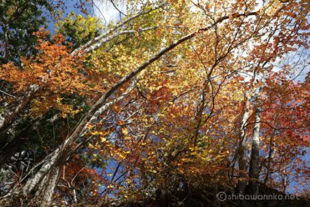EOS5DsR+EF24-70mmF2.8LⅡUSM 24mm f11 1/25sec ISO100 PLフィルター