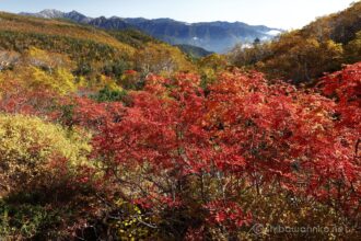 EOS5DsR+EF24-70mmF2.8LⅡUSM 28mm f16 1/13sec ISO100 PLフィルター