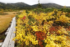 EOS5DsR+EF16-35mmF4L IS USM 16mm f16 1/15sec ISO100 PLフィルター