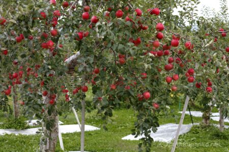 EOS5DsR+EF70-200mmF4L ISⅡUSM 70mm f5.6 0.5sec ISO100 PLフィルター