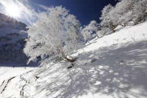 EOS5DsR+EF16-35mmF4L IS USM 16mm f11 1/160sec ISO100 PLフィルター