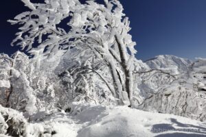 EOS5DsR+EF16-35mmF4L IS USM 25mm f16 1/80sec ISO100 PLフィルター