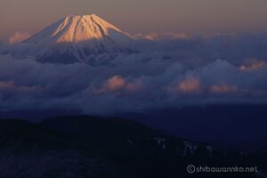 EOS5DsR+EF24-70mmF2.8LⅡUSM 200mmトリミング中 f11 1/1125sec ISO100 PLフィルター