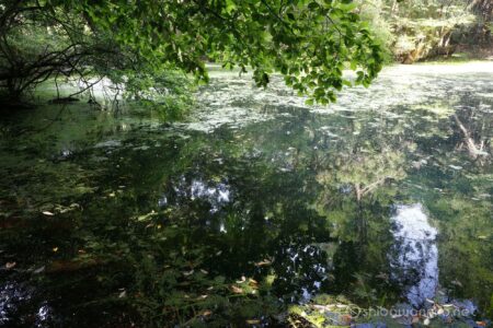 EOS5D MarkⅡ+EF24-105mmF4L IS USM 55mm f16 0.8sec ISO100 PLフィルター