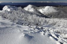 本谷山を超えて塩見岳へ通じるルートは樹林帯歩きで展望がない一方で、こちらの烏帽子岳へ向かうルートは塩見岳方面だけでなく小河内岳方面の展望も広がって素晴らしい。どっち向いてもいいな!