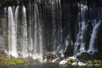 EOS5DsR+EF24-70mmF2.8LⅡUSM 61mm f3.5 1/250sec ISO100 PLフィルター