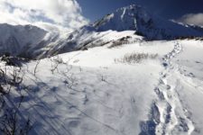素晴らしく美しい雪山の光景が広がる。
景色は素晴らしいんですが、今日の目的は北岳から夕景を撮ること。