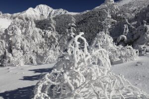 EOS5DsR+EF16-35mmF4L IS USM 35mm f16 1/125sec ISO100 PLフィルター