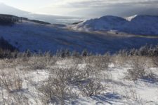 雪の急斜面も四駆+スタッドレスでぐいぐい登って行く。
車山高原に出ると一面の雪景色が広がる。
この広さがたまらなくいい。