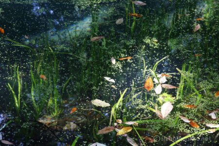 EOS5D MarkⅡ+EF24-105mmF4L IS USM 105mm f11 2.5sec ISO100 PLフィルター