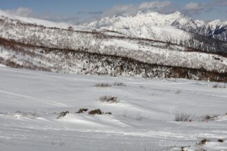 EOS5DsR+EF70-200mmF4L ISⅡUSM 72mm f11 1/250sec ISO100 PLフィルター