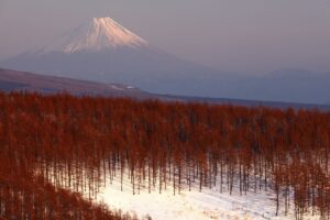 EOS5DsR+EF100-400mmF4.5-5.6L ISⅡUSM 255mm f11 1/6sec ISO100 PLフィルター