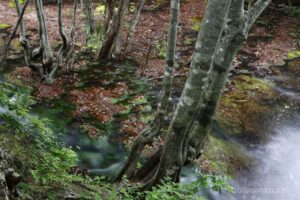 EOS5D MarkⅡ+EF24-105mmF4L IS USM 40mm f16 4sec ISO100 PLフィルター