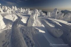 EOS5DsR+EF16-35mmF4L IS USM 16mm f11 1/125sec ISO100 PLフィルター