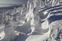 EOS5DsR+EF16-35mmF4L IS USM 24mm f11 1/125sec ISO100 PLフィルター