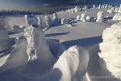 EOS5DsR+EF16-35mmF4L IS USM 16mm f11 1/80sec ISO100 PLフィルター