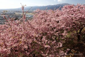 EOS5DsR+EF24-70mmF2.8LⅡUSM 33mm f11 1/40sec ISO100 PLフィルター