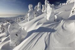 EOS5DsR+EF16-35mmF4L IS USM 16mm f11 1/100sec ISO100 PLフィルター