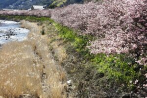 EOS5DsR+EF24-70mmF2.8LⅡUSM 70mm f11 1/40sec ISO100 PLフィルター