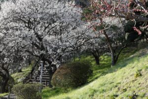 EOS5D MarkⅡ+EF24-105mmF4L IS USM 70mm f16 1/8sec ISO200 PLフィルター