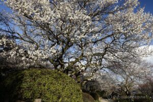 EOS5D MarkⅡ+EF24-105mmF4L IS USM 24mm f16 1/20sec ISO200 PLフィルター