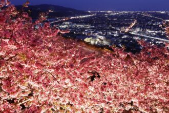 EOS5DsR+EF24-70mmF2.8LⅡUSM 30mm f11 1/30sec ISO100 PLフィルター