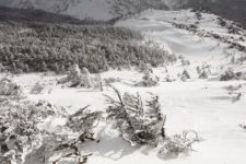 昼食を摂ってから上り始め。
ところどころ雲の合間から日が差し、一面の雪原を照らすのが綺麗。