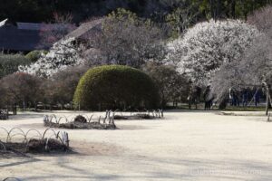 EOS5DsR+EF70-200mmF4L IS USM 100mm f11 1/30sec ISO100 PLフィルター