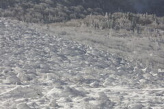 EOS5DsR+EF70-200mmF4L ISⅡ USM 171mm f11 1/200sec ISO100 PLフィルター