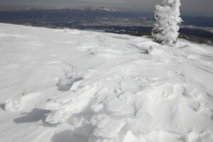 EOS5D MarkⅡ+EF24-105mmF4L IS USM 32mm f16 1/125sec ISO200 PLフィルター