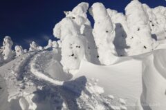 EOS5DsR+EF16-35mmF4L IS USM 20mm f11 1/160sec ISO100 PLフィルター