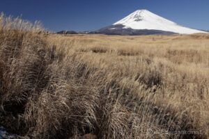 EOS5D MarkⅡ+EF24-105mmF4L IS USM 35mm f16 1/45sec ISO200 PLフィルター