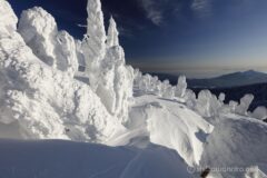 EOS5DsR+EF16-35mmF4L IS USM 16mm f11 1/100sec ISO100 PLフィルター