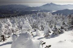 EOS5DsR+EF16-35mmF4L IS USM 25mm f16 1/80sec ISO100 PLフィルター