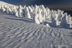 EOS5DsR+EF16-35mmF4L IS USM 28mm f11 1/80sec ISO100 PLフィルター