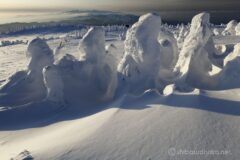 EOS5DsR+EF16-35mmF4L IS USM 26mm f11 1/60sec ISO100 PLフィルター