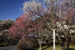 EOS5D MarkⅡ+EF24-105mmF4L IS USM 24mm f16 1/15sec ISO200 PLフィルター