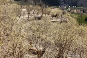 EOS5DsR+EF24-70mmF2.8LⅡUSM 47mm f16 1/15sec ISO100 PLフィルター