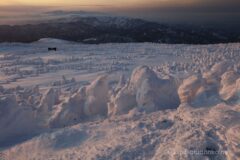 EOS5DsR+EF16-35mmF4L IS USM 35mm f16 1/8sec ISO100 PLフィルター