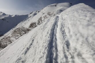 EOS5DsR+EF16-35mmF4L IS USM 16mm f11 1/200sec ISO100 PLフィルター
