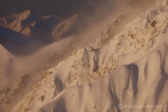 EOS5DsR+EF70-200mmF4L ISⅡ USM 200mm f8 1/125sec ISO100 PLフィルター