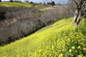 EOS5DsR+EF16-35mmF4L IS USM 25mm f16 1/20sec ISO100 PLフィルター