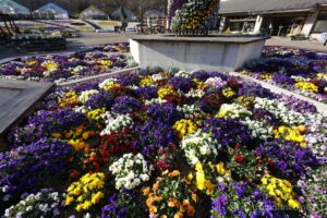 EOS5DsR+EF16-35mmF4L IS USM 16mm f16 1/15sec ISO100 PLフィルター